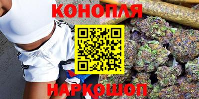 крисы Бийск