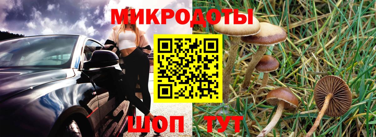 Псилоцибиновые грибы Psilocybe  Вход с VPN  Вязьма 