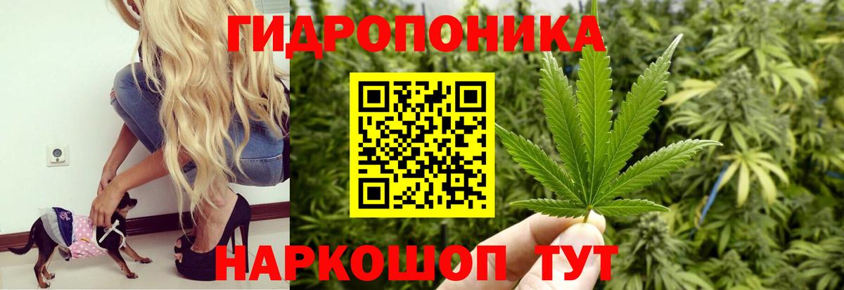 Шишки марихуана SATIVA & INDICA  Бошки марихуана Amnesia  Вязьма  Вход с VPN  Конопля SATIVA & INDICA 